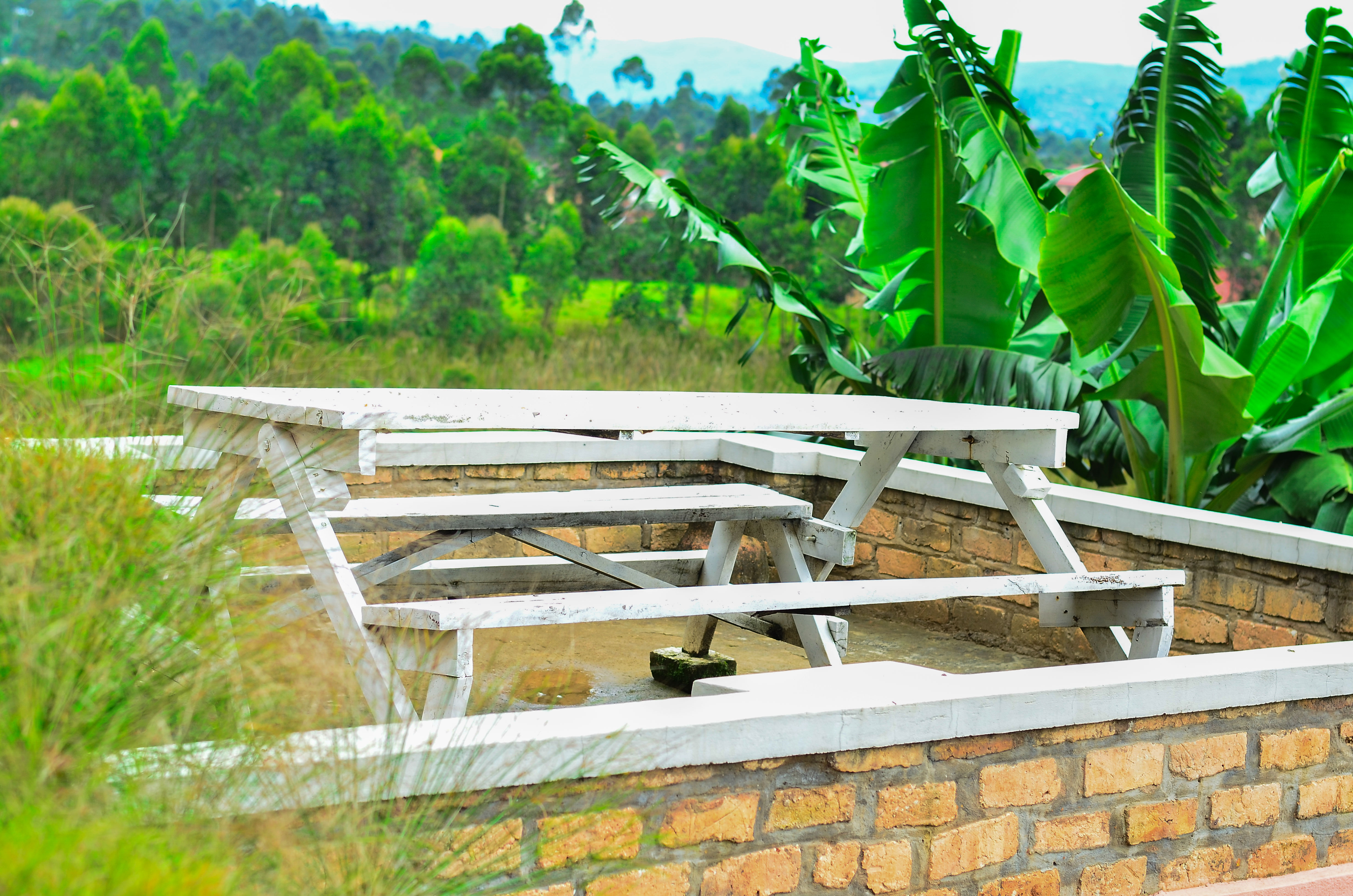 Nature at Your Doorstep